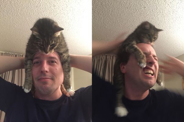 Don't Let Go Of The Cat!!