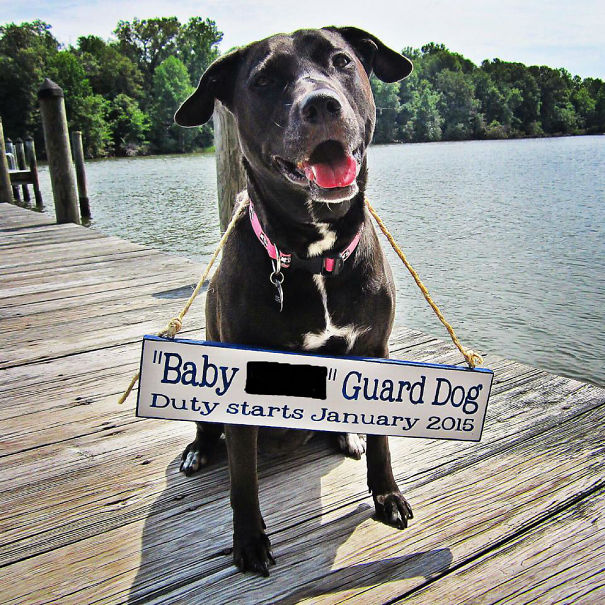 Creative Pregnancy Announcement