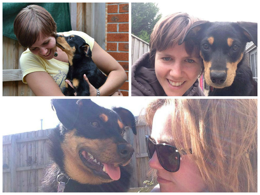 Before And After Photos Of My Rescued Dogs Before And After Photos Of My Rescued Dogs