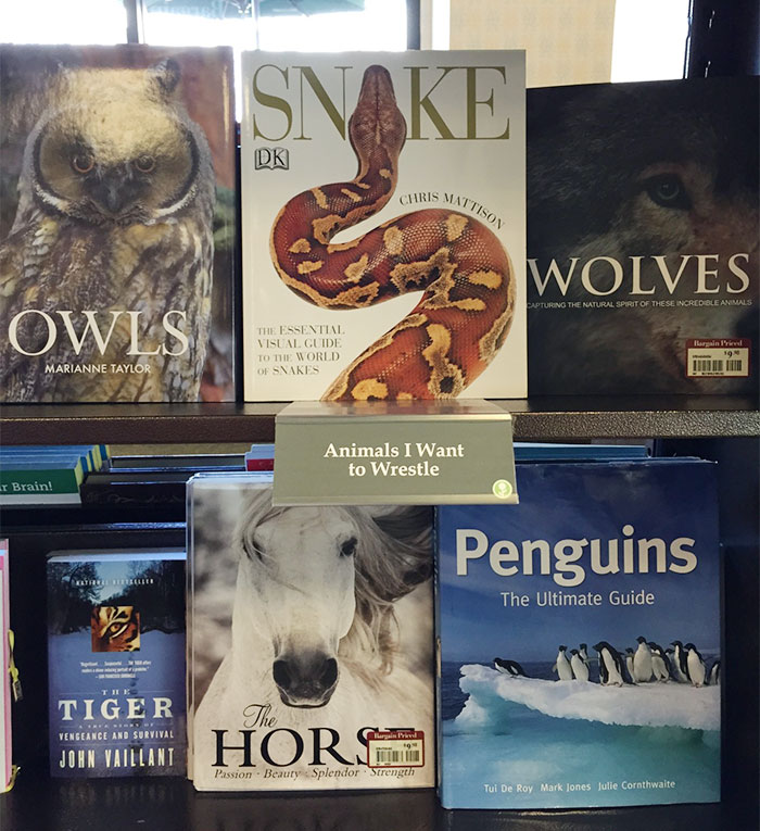 funny-accurate-book-section-names-7 funny-accurate-book-section-names-7