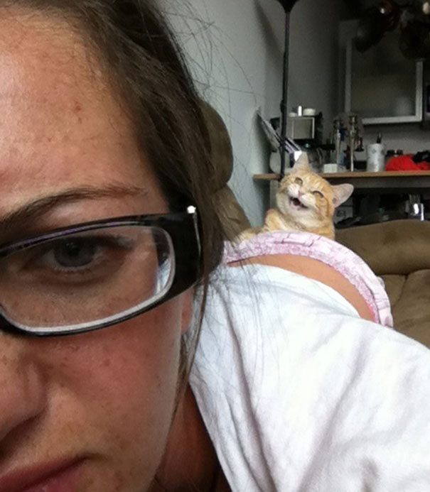 Cat That Is Secretly Plotting To Kill You