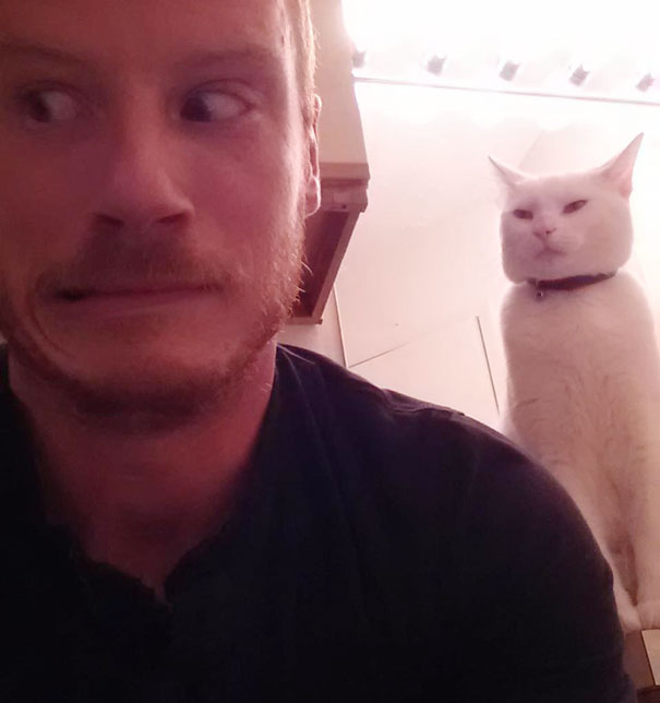 Cat That Is Secretly Plotting To Kill You