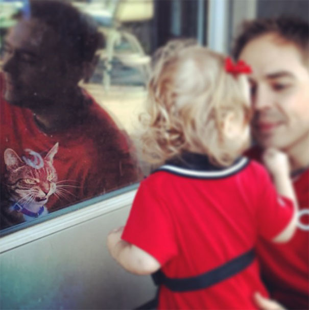 Cat That Is Secretly Plotting To Kill You