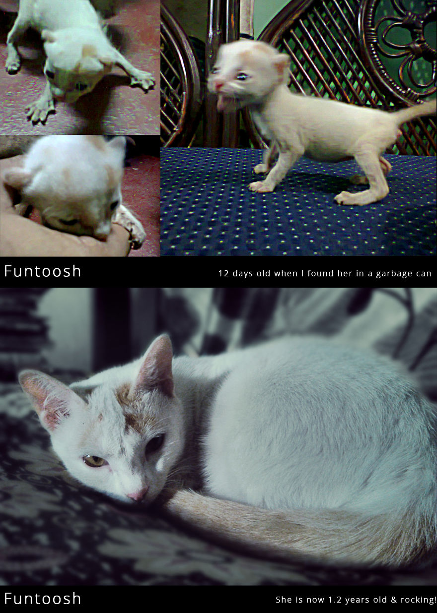 Funtoosh - My Love, My Whole World