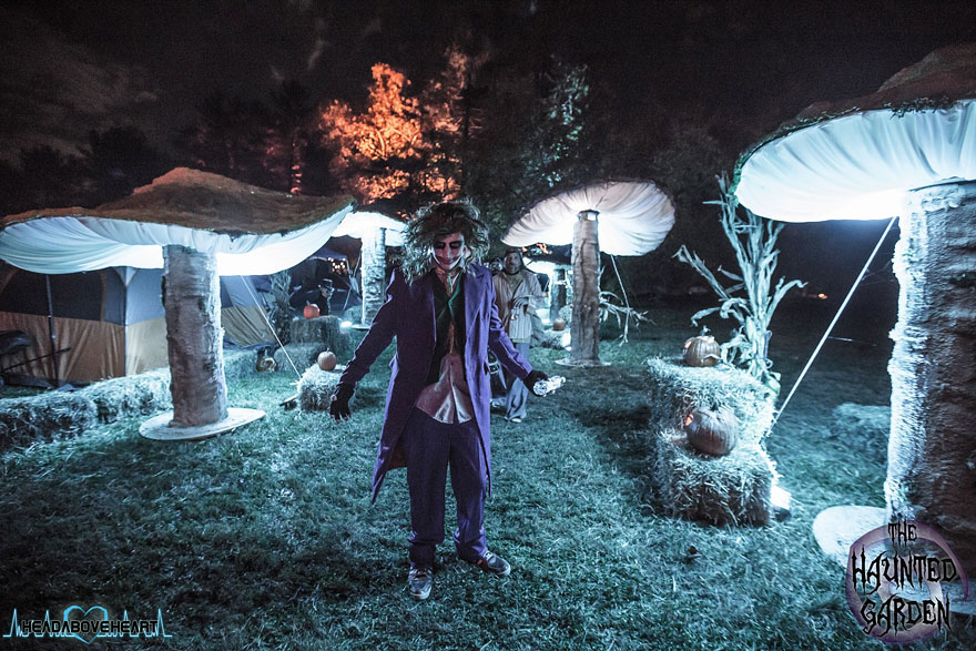 giant-diy-illuminated-mushrooms-installation-rania-peet-1 giant-diy-illuminated-mushrooms-installation-rania-peet-1