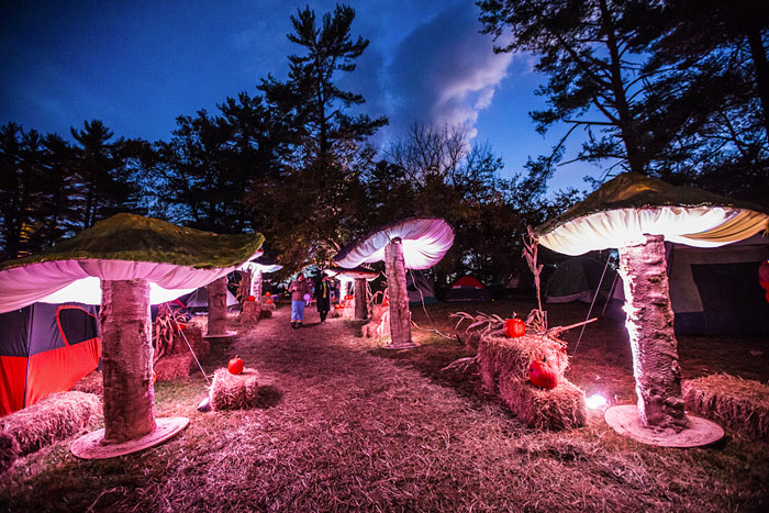 My Giant Illuminated Mushrooms Brighten Up Every Place They Go