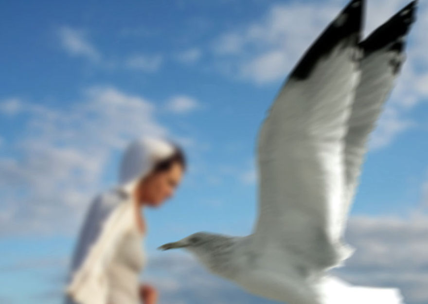 Birds In The Foreground With Me In The Background - Photomontages.