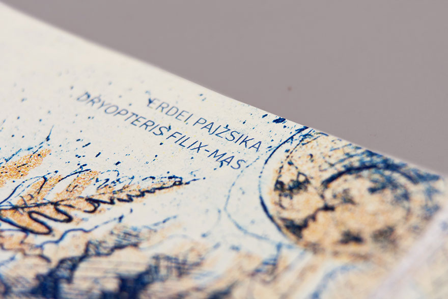 hungarian-money-concept-euro-barbara-bernat-11 hungarian-money-concept-euro-barbara-bernat-11