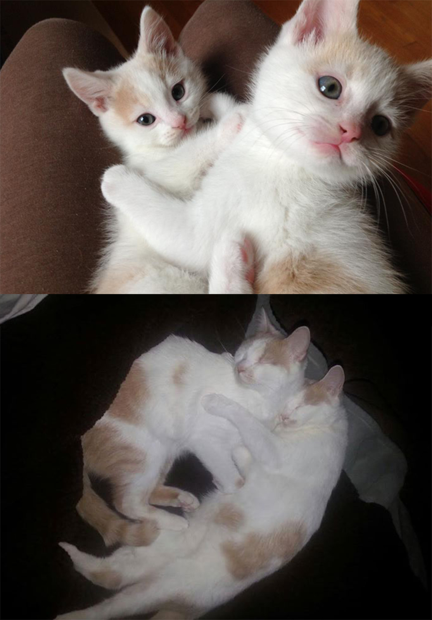 House & Wilson - 3 Months Then And 2 1/2 Now!