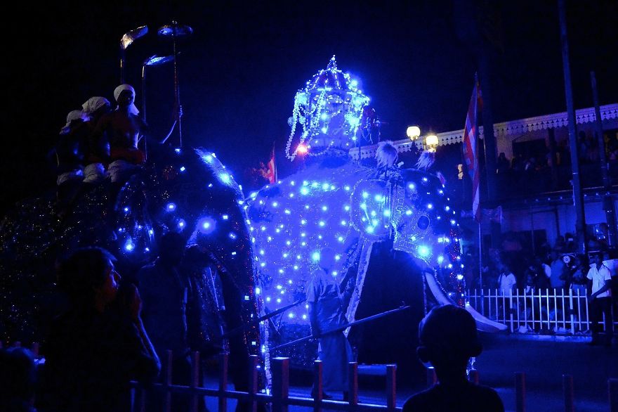 Esala Perahera, Sri Lanka