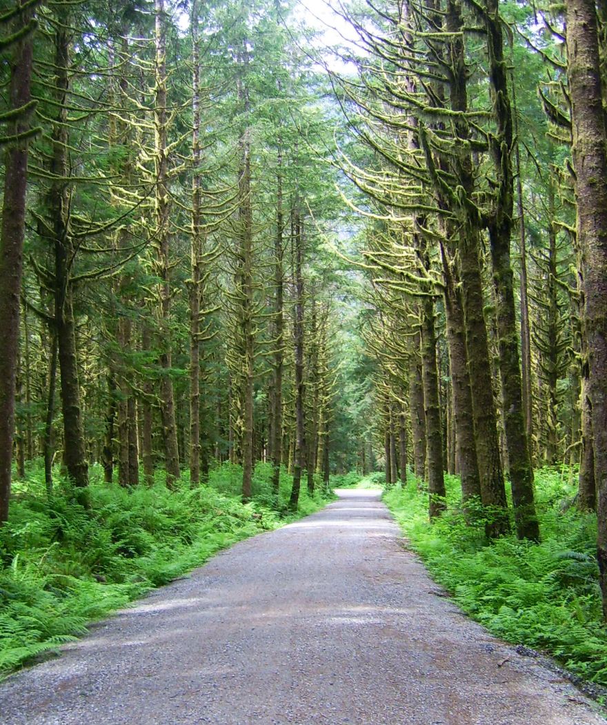 Lower Demonstration Forest, British Columbia