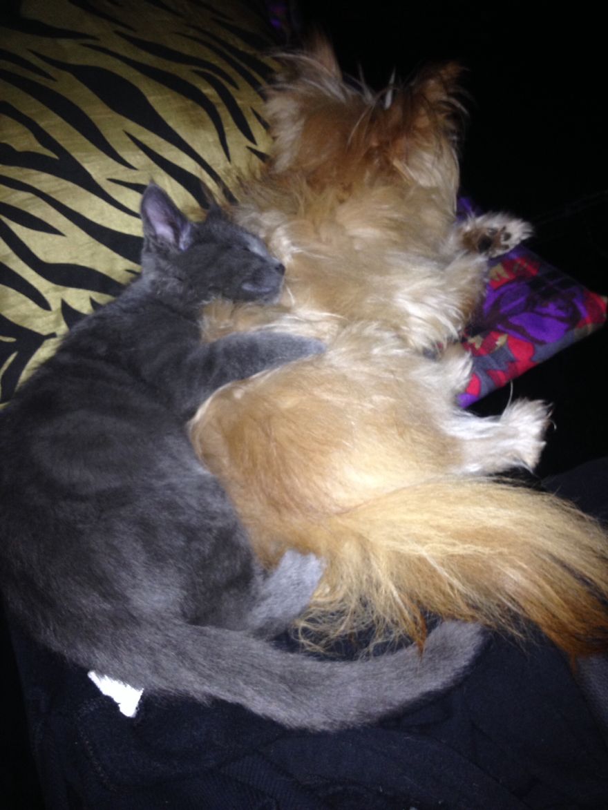 Lovers In A Dangerous Time