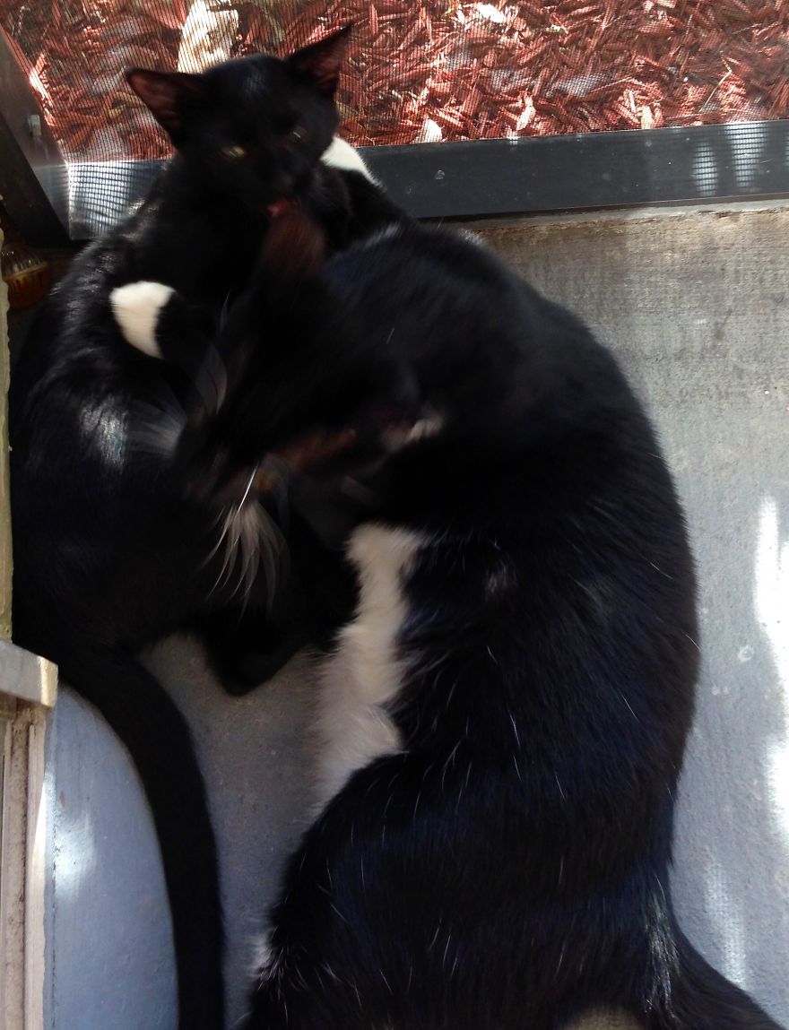 Brotherly Love ❤️