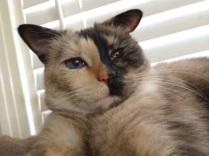 Jezebel From @delilah_jezebel