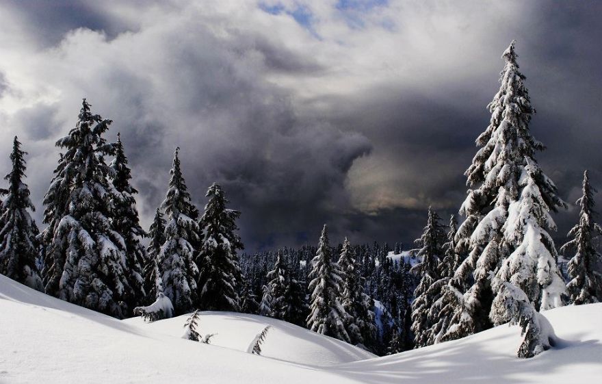 Mt. Seymour, British Columbia