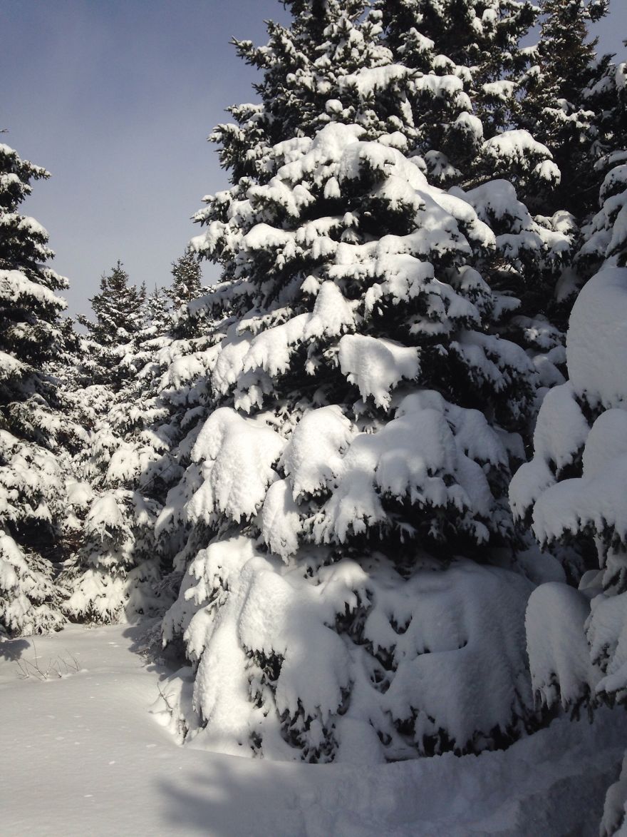 Kippens, Newfoundland, Canada