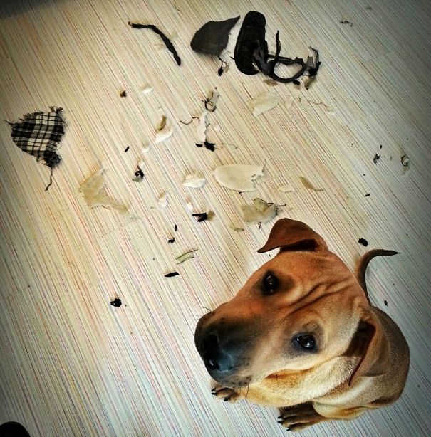 I Got Yer Slippers! I Got'em Good..