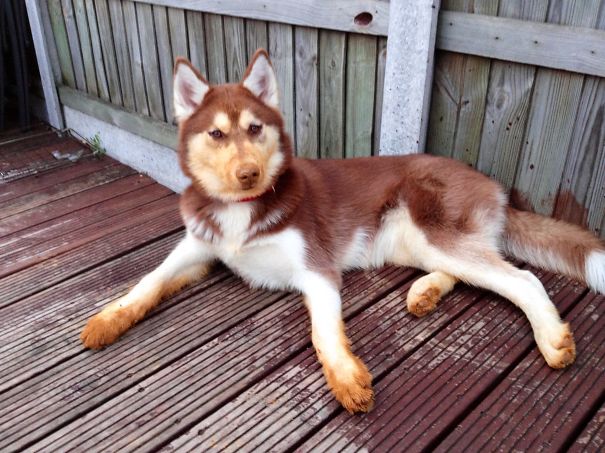 It's Just A Face Mask