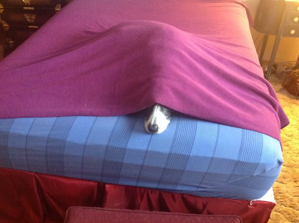 No, Not Ready To Get Up.