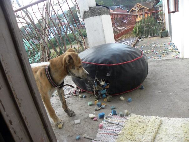 She Heard Mommy Call It Beanbag. She Hunted For Beans