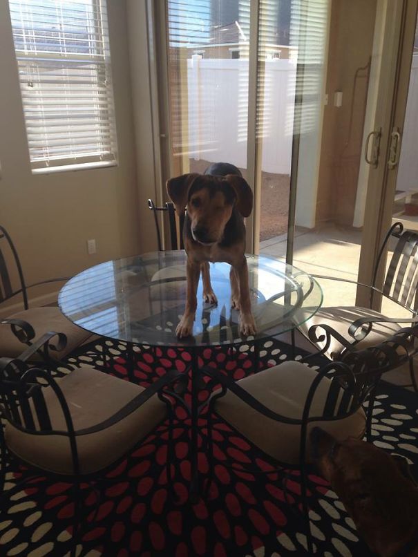 I Can Stand Wherever I Want!