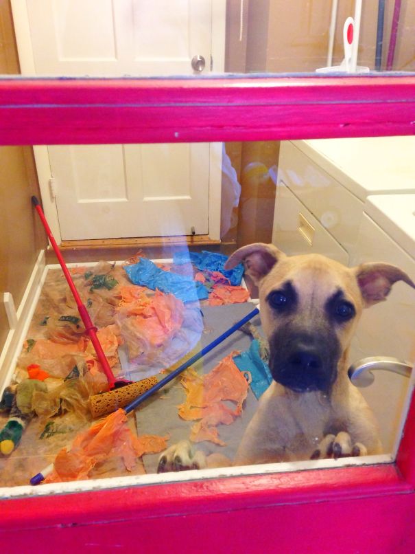 Look What You Did, You Little Jerk