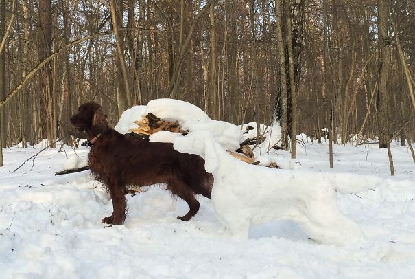 My Irish Setter Girl And Her Snow Friend