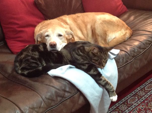 Role Reversal, Misty Resting On James