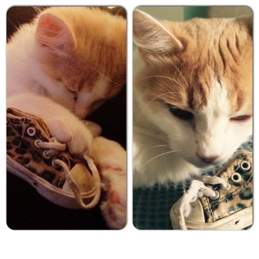 Estebán 6months-3 Years Later