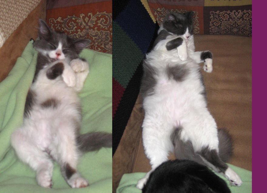 Somehow His Head Never Grew...