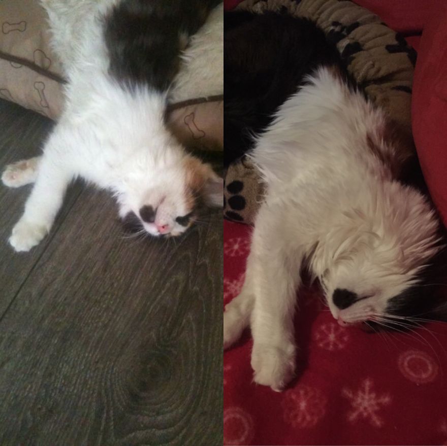 Never Changed The Way She Sleeps