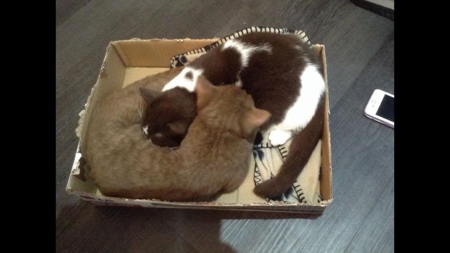 I'm Sure This Bed Is Shrinking..