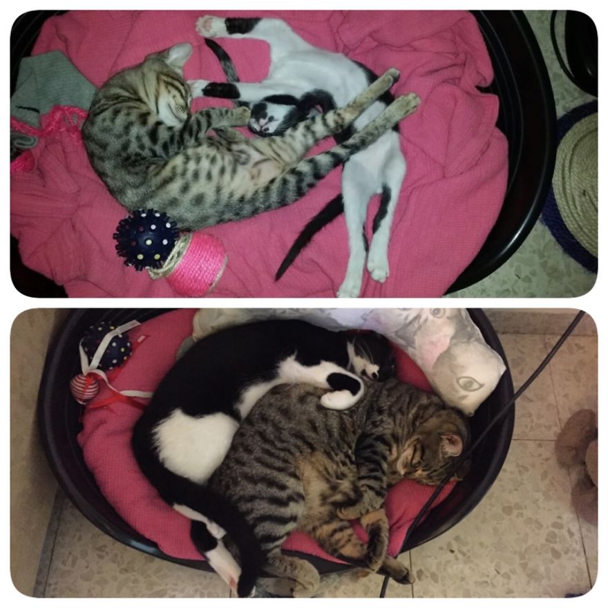 Maybe Not Years Apart But Still..