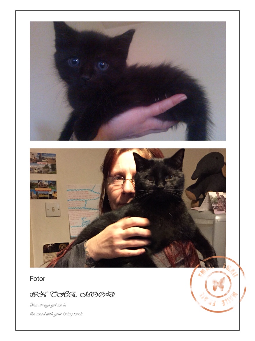 Loki.. Aged 8 Weeks And Then 22 Months!