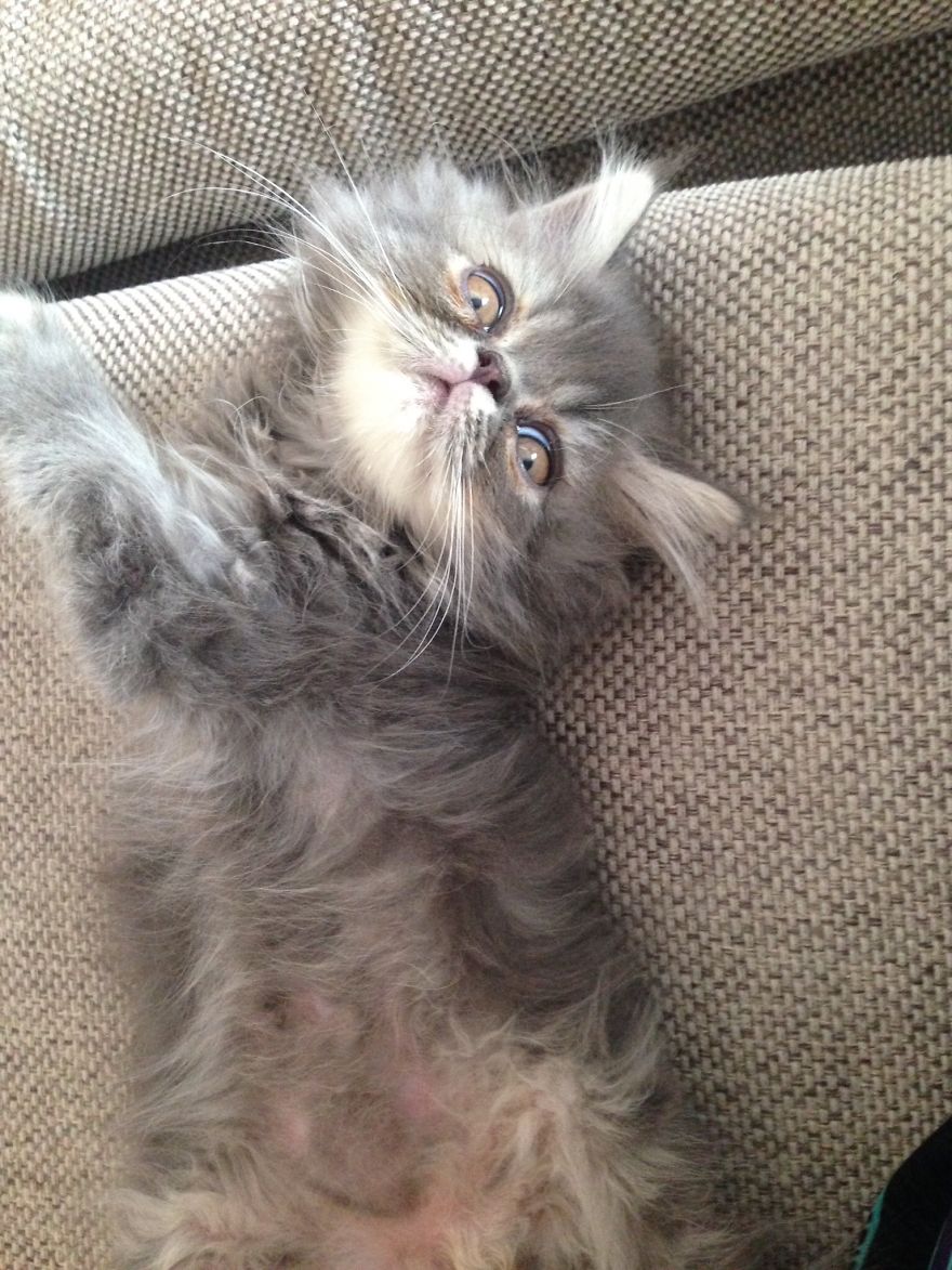 When Did This Happen???