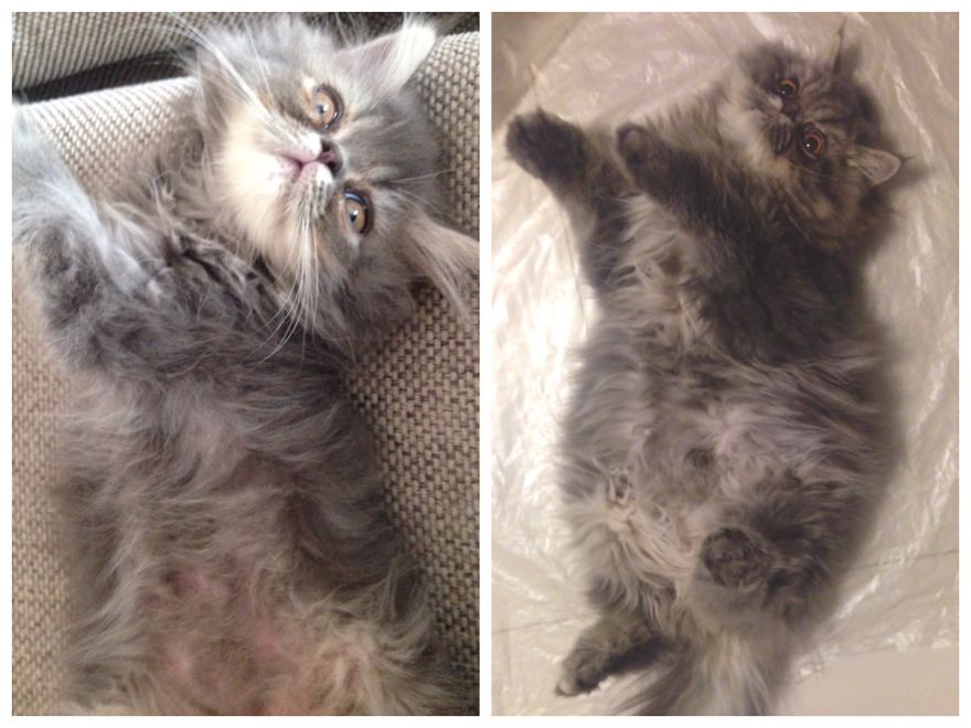 When Did This Happen??!!