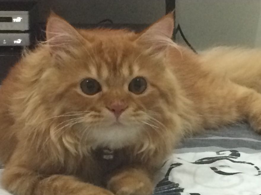 Our Lovely Ted After 6 Months