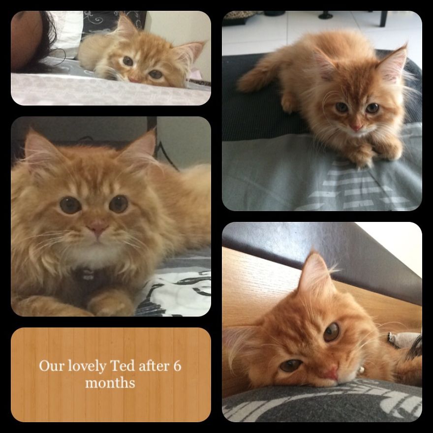 Adorable Ted After 6 Months