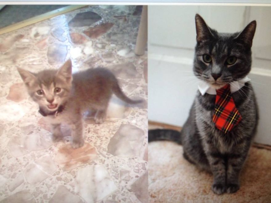 Remington 3 Weeks And 3 Years Old