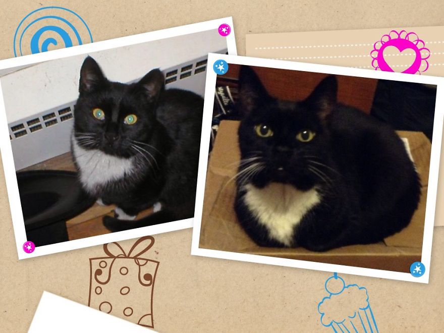 My Baby At 7 Months And Now 11 Years.