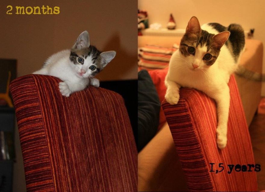 Not Many Many Years But Still Remarkable