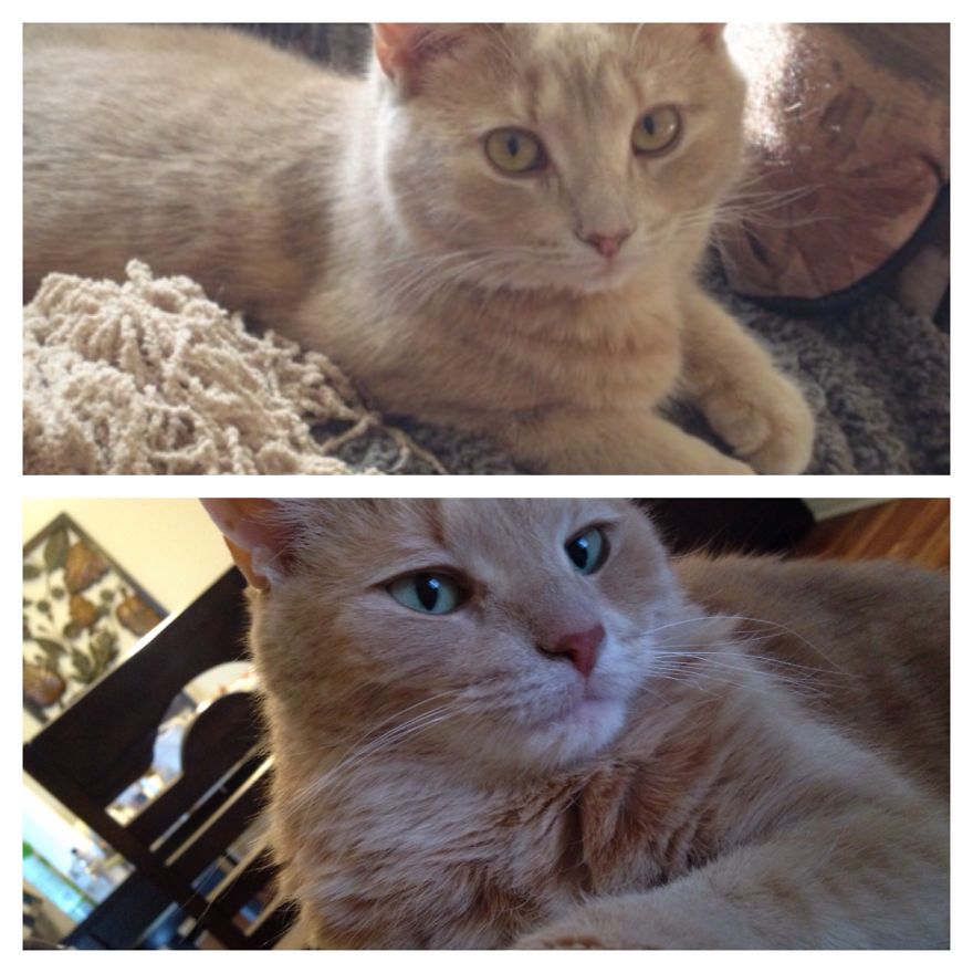 Zoé Just Chilling Since Childhood