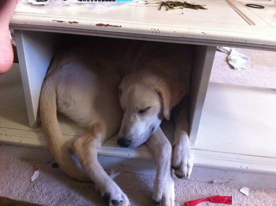 Look Mom I Still Fit