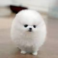 gretabrownson avatar