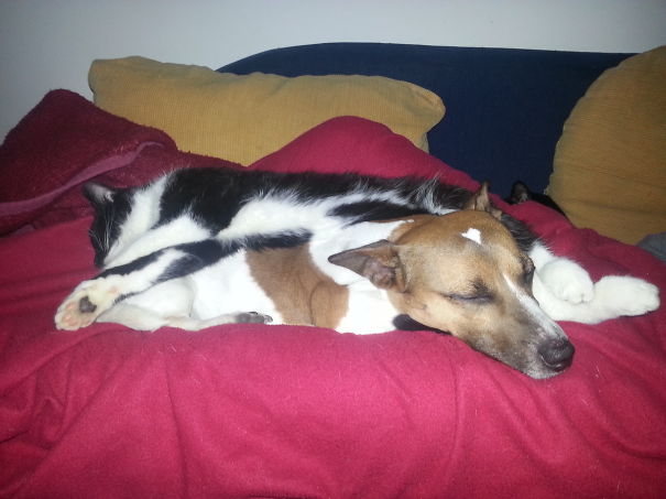 Best Friends Jimmy And Phantom Of Silence (phanny)