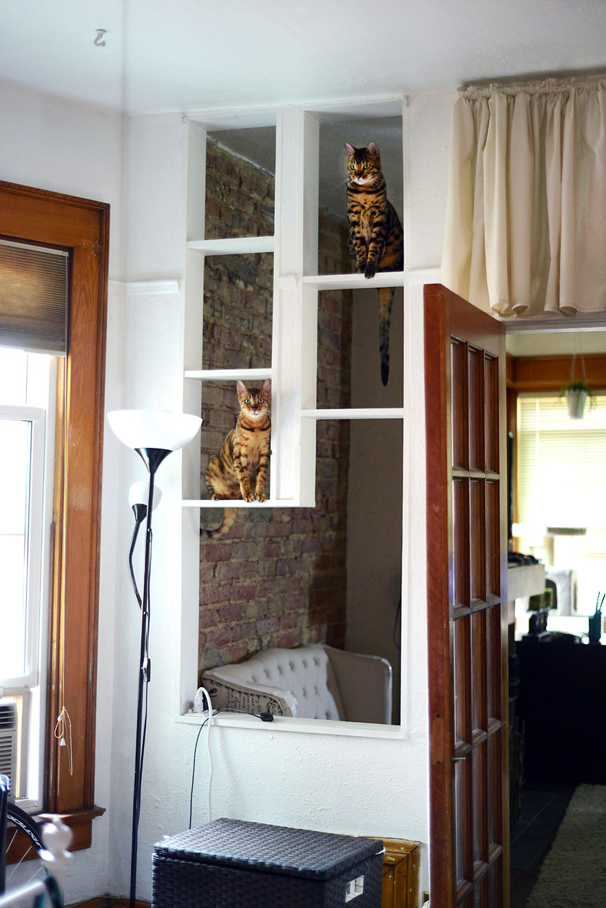 My Photos Of Me Slowly Becoming A Crazy Cat Lady My Photos Of Me Slowly Becoming A Crazy Cat Lady