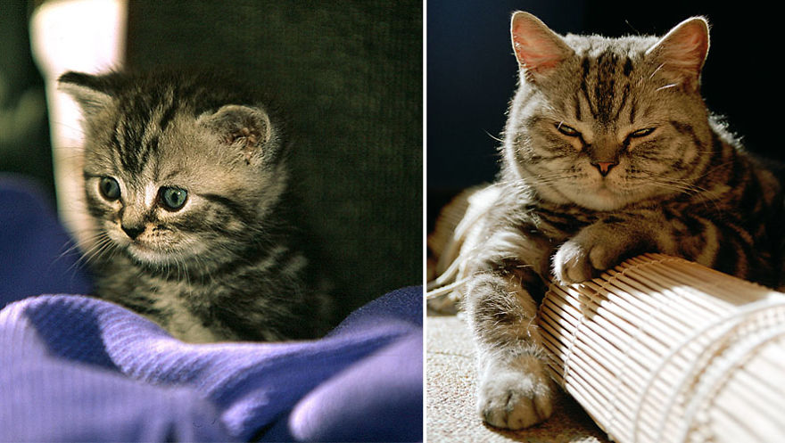 The Little One... And Not So Much