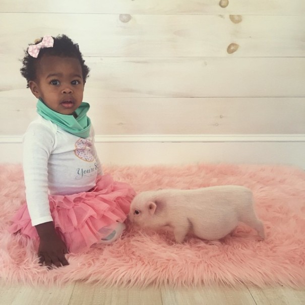 little-girl-piglet-friendship-libby-and-pearl-19 little-girl-piglet-friendship-libby-and-pearl-19