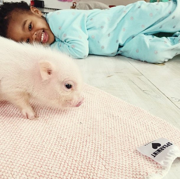 little-girl-piglet-friendship-libby-and-pearl-21