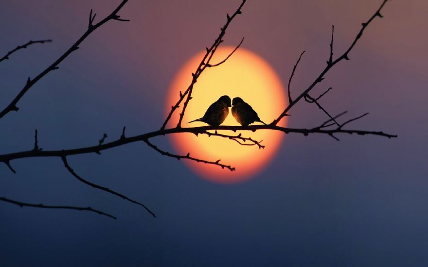 Romantic Couple